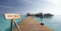 Coco Bodu Hithi - 50% Off shared roundtrip Speedboat for stays from 1 Sep to 23 Dec 2025 Hotel a Bodu Hithi