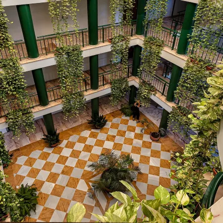 Apartamentos Vértice Bib Rambla