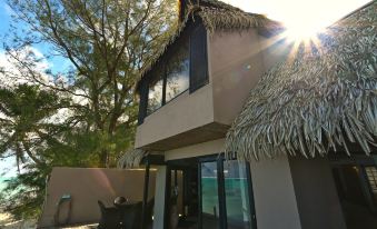 Reflections on Rarotonga