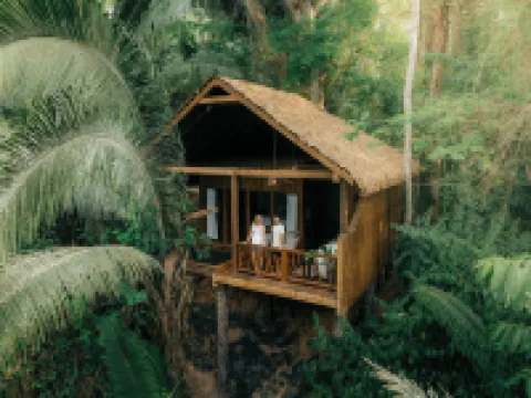 Sweet Songs Jungle Lodge Hoteles en 