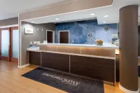 羅切斯特梅奧醫學中心／聖瑪麗醫院萬豪SpringHill飯店 - 停車場