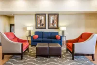 Comfort Inn Near Grand Canyon Hotels in Williams