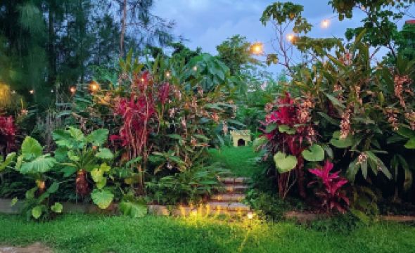 Okinawa Starry Forest Cottage