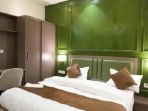 park amber Hotels in Hisar