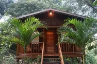 Mariposa Jungle Lodge Hotels in 