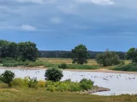 Historisches 5 Gutshaus am Fluss mit Panoramablick und Riesigem Grundstück Hotels in Lenzen