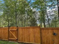 Albion Escape - Private Suite in a Forest Setting w Parking, Near Vancouver. Hotels in Maple Ridge