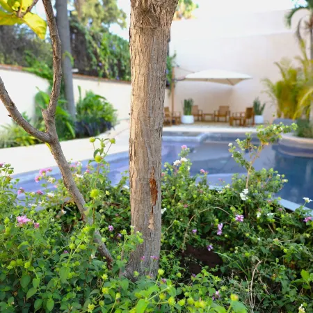 Hotel Miranthia Cuernavaca Adults - Only