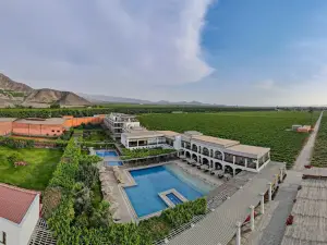 Hotel Viñas Queirolo