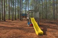 Secluded Cabin Retreat – Your Escape to Nature!