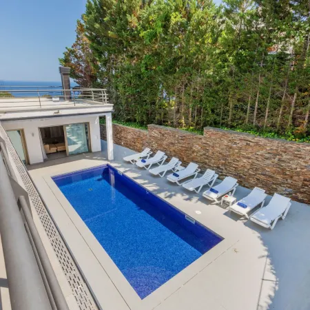 Palmbeach