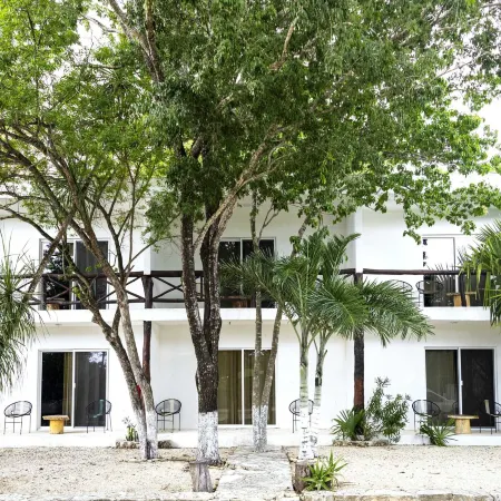 Hotel Casa Tortuga Tulum - Cenotes Park Inclusive