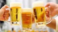 Oga Kanko Hotel - bar