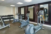 Hotel Alex Johnson Rapid City, Curio Collection by Hilton - Gym