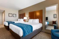 Comfort Inn & Suites Tavares North - piscine