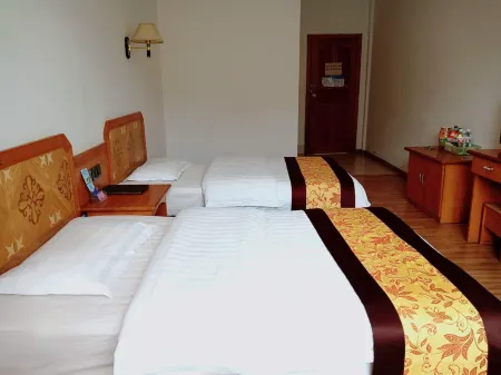 Zhenjiacheng Hotel Отели в г. Чженьюань