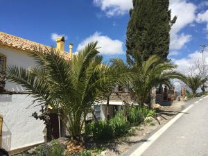 Cortijo la Huerta