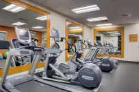 Hilton Garden Inn North Houston/Spring - Træningscentre
