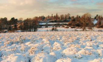 a snow - covered field with a small river running through it , surrounded by trees and bushes at The Buxted Inn