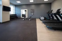 Hilton Garden Inn Fremont Milpitas - Gym