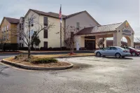 Comfort Inn & Suites Jasper Hwy 78 West - Pet friendly
