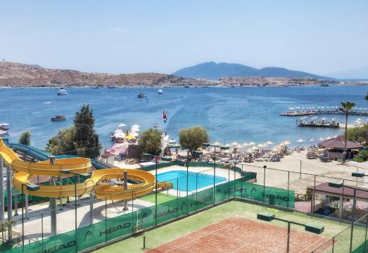 5. 아스테리아 보드..