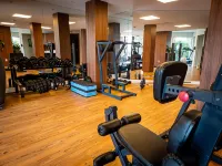 Wish Serrano Resort - Gym