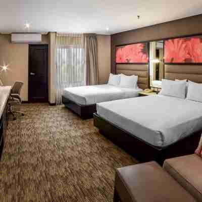 Hilton Garden Inn Guatemala City Rooms