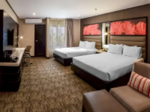 危地馬拉市希爾頓花園酒店 危地馬拉市酒店