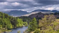 Ivy Guest House Hotels in Claife