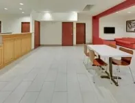 加蘭/羅萊特/東達拉斯地區溫德姆速8飯店 - Wi-Fi