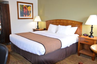 その他 ベストウエスタン レッド ヒルズの写真