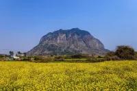Sagye Travel Guesthouse - 2 Yıldız