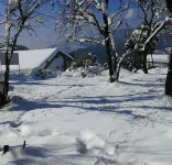 Madhuvan Cottage فنادق في Mukteshwar