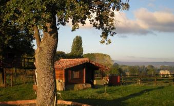 a small wooden house surrounded by a lush green field , with trees in the background at Punto y Aparte