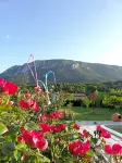 Hotel Restaurant Rose des Pyrénées Hotels in Couiza