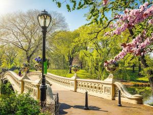 The Ritz-Carlton New York, Central Park