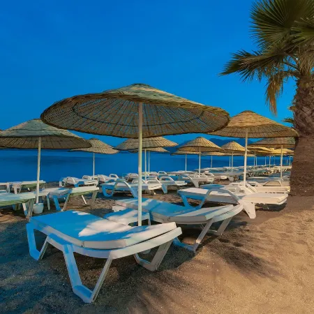 The Beachfront Hotel Adult Only 16 Plus