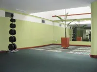 Apartahotel Vincent Suites - Gym