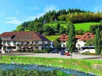Hotel 3 Könige Hotels in Schenkenzell