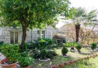 Apartments Nicol