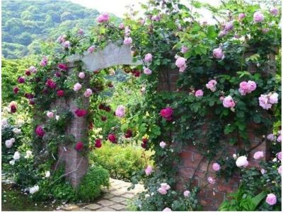 庭 ホテルリゾーピア熱海の写真