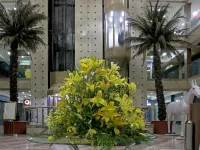 The Residency Hotel