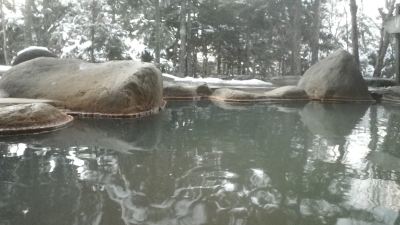 スパ・大浴場 濁河温泉　湯の谷荘の写真