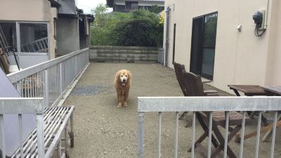 庭 北条水軍ユースホステルの写真