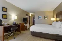 Comfort Inn Blacksburg University Area