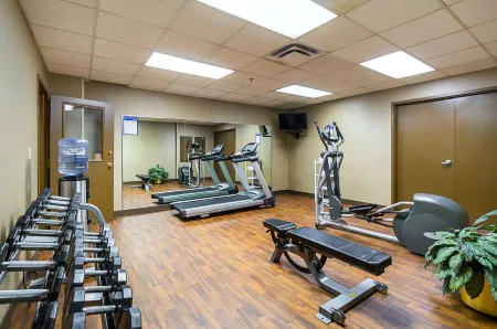 Comfort Inn Downtown