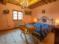 Guarda Valle