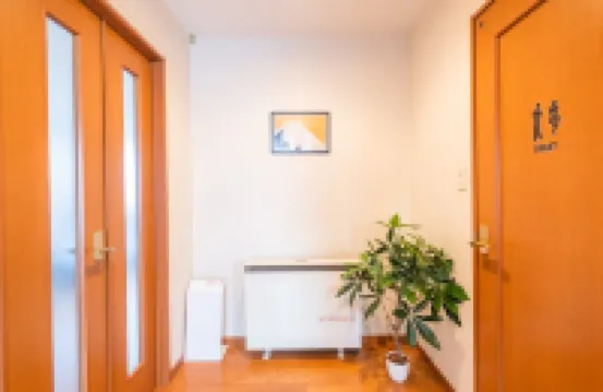 Ezo Fujiya Niseko House Room