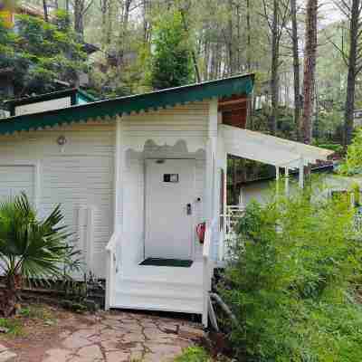 Kasauli Hills Resort Hotel Exterior